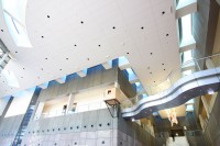 C Max - Foyer (24 x 6)